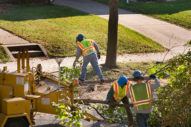 Best Lawn Watering Services  in Grapeland, TX