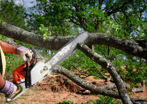 Mulching Services in Grapeland, TX